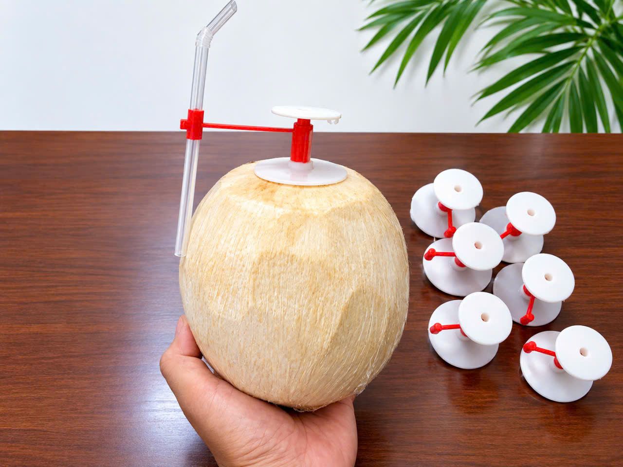Model 1 fitted on a trimmed coconut